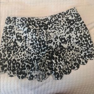 NWT J. Crew leopard shorts size 8